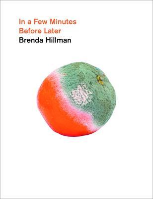 Cover: 9780819500151 | In a Few Minutes Before Later | Brenda Hillman | Buch | Gebunden