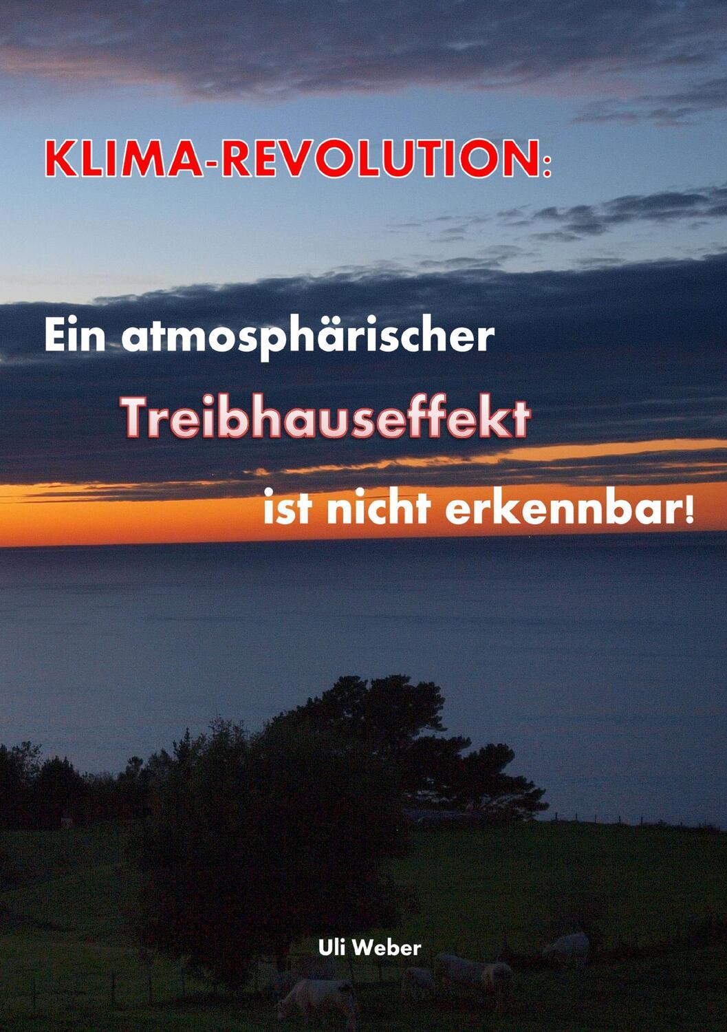 Cover: 9783744835626 | Klimarevolution | Uli Weber | Taschenbuch | Books on Demand