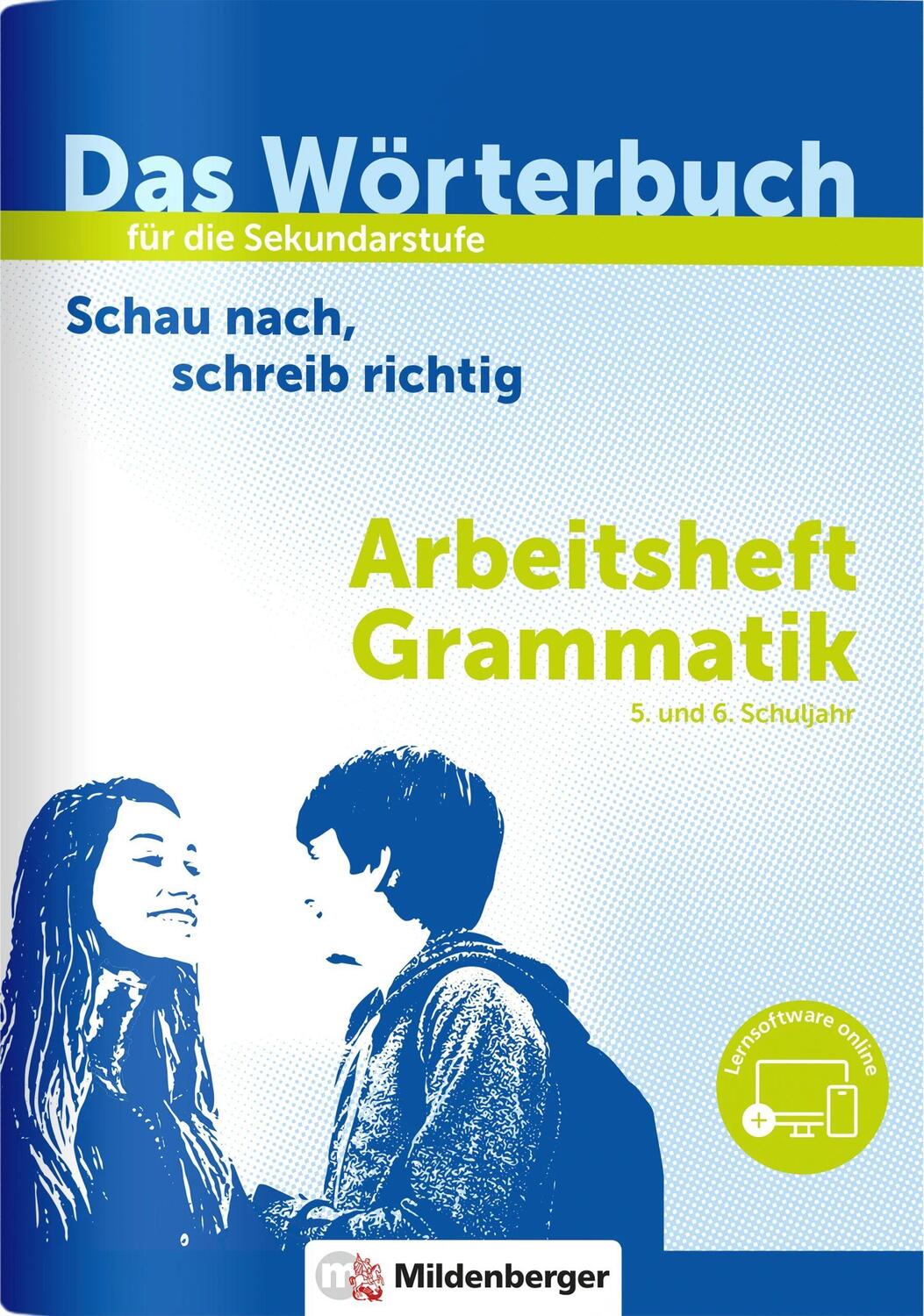 Cover: 9783619148325 | Das Wörterbuch für die Sekundarstufe - Arbeitsheft Grammatik | 64 S.