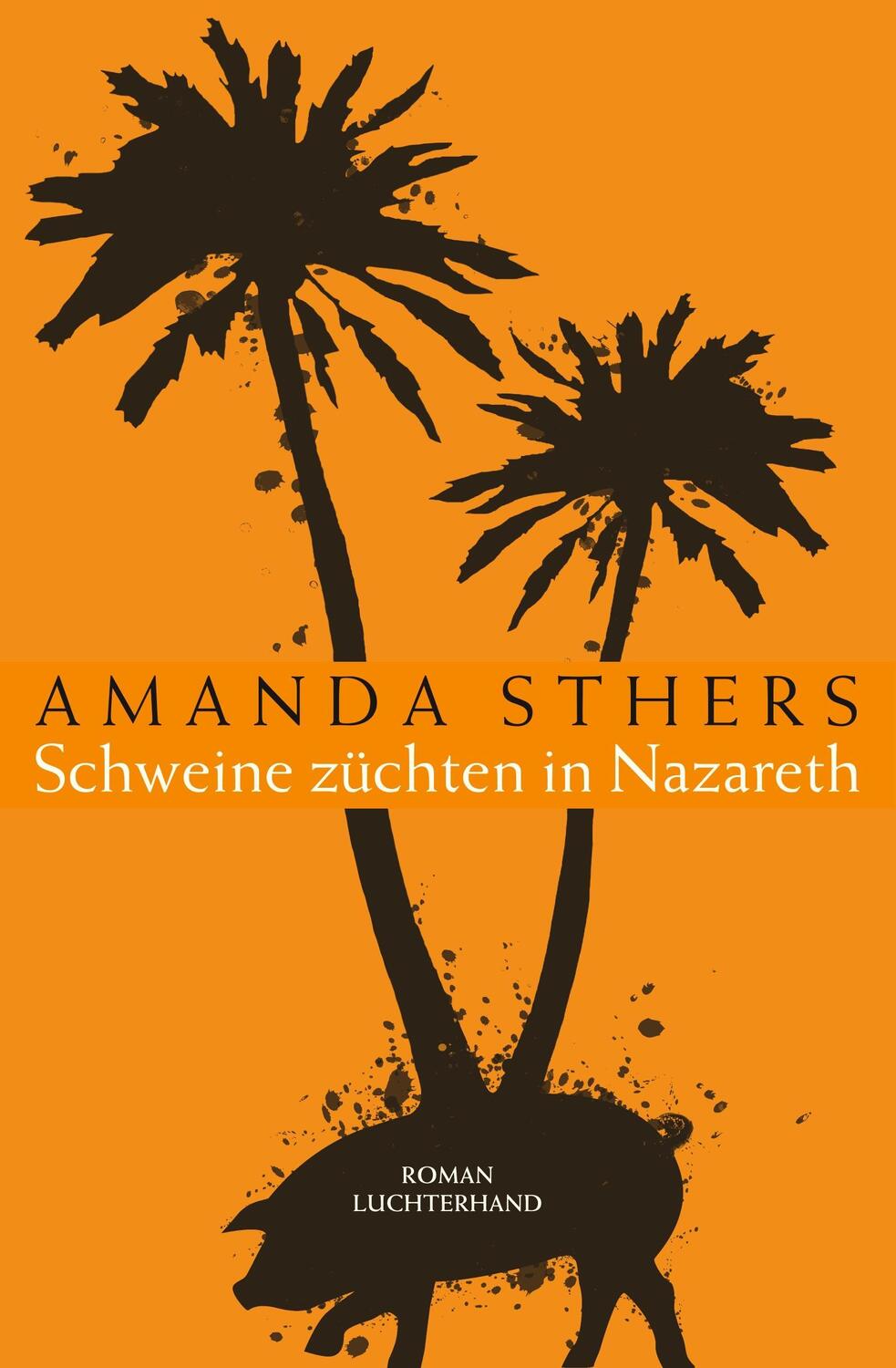 Cover: 9783630873626 | Schweine züchten in Nazareth | Roman | Amanda Sthers | Taschenbuch
