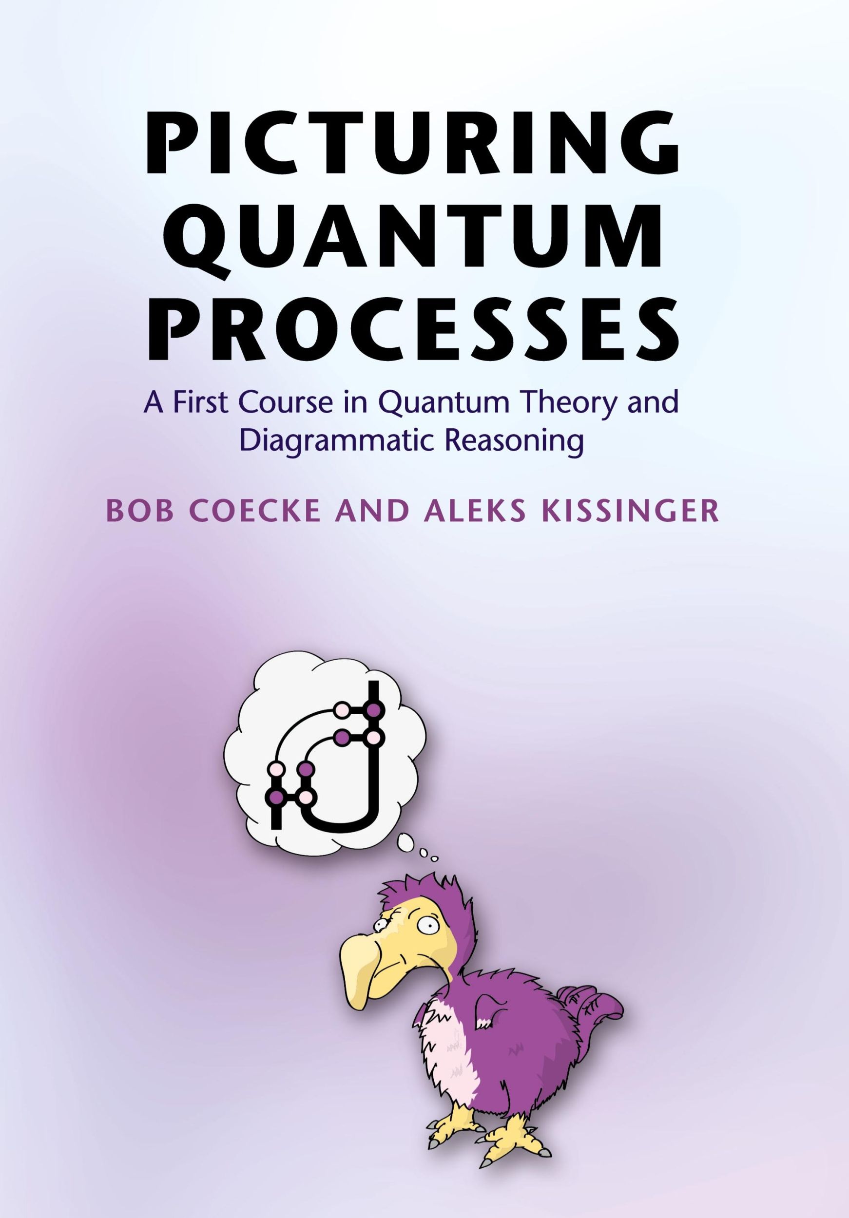 Cover: 9781107104228 | Picturing Quantum Processes | Bob Coecke (u. a.) | Buch | Gebunden