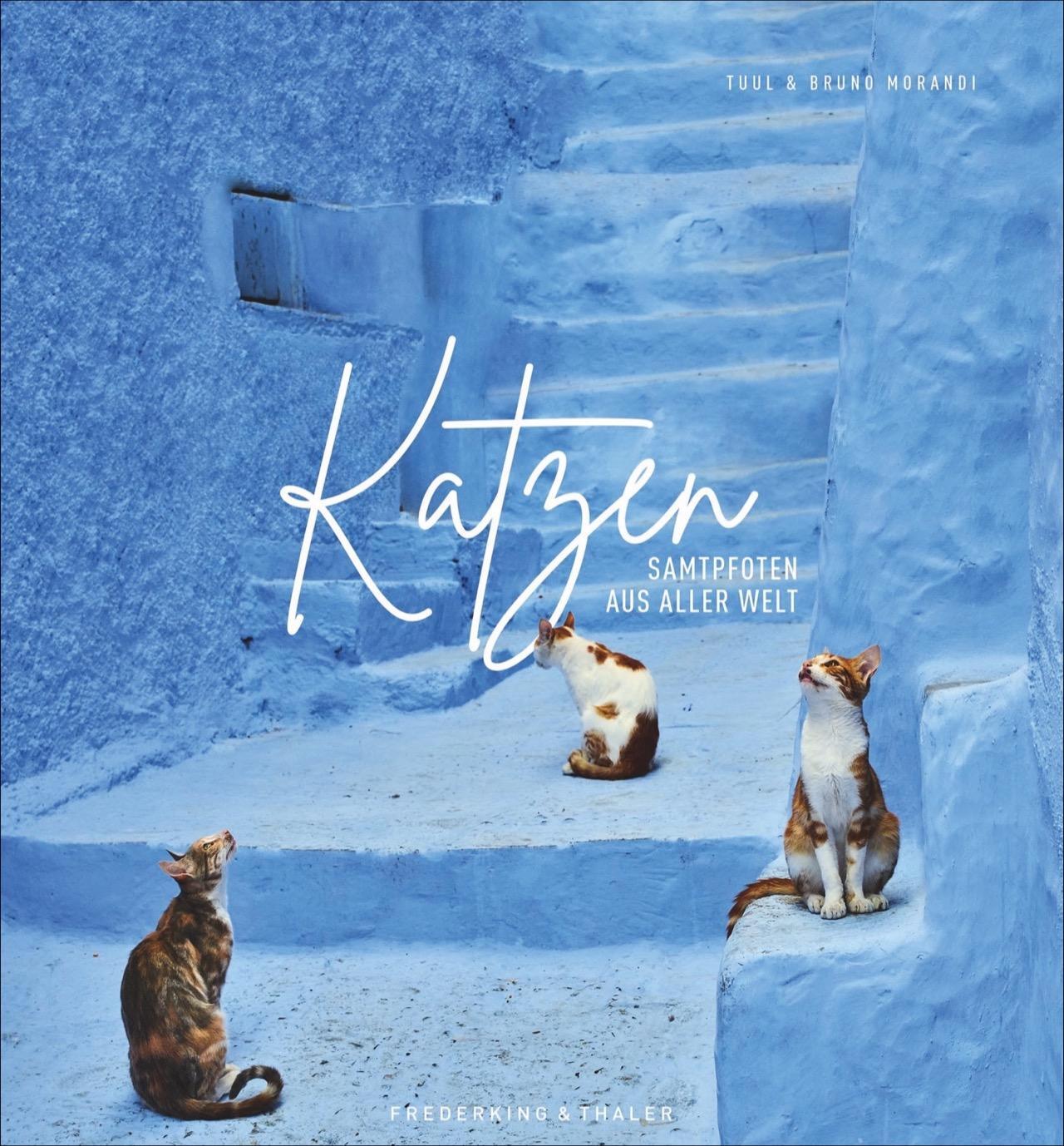 Cover: 9783954163182 | Katzen | Samtpfoten aus aller Welt | Tuul Morandi (u. a.) | Buch