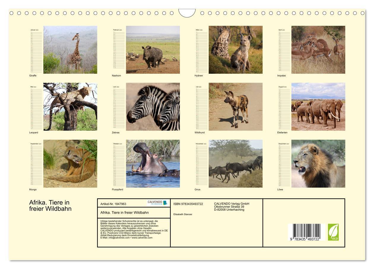 Bild: 9783435493722 | Afrika. Tiere in freier Wildbahn (Wandkalender 2025 DIN A3 quer),...