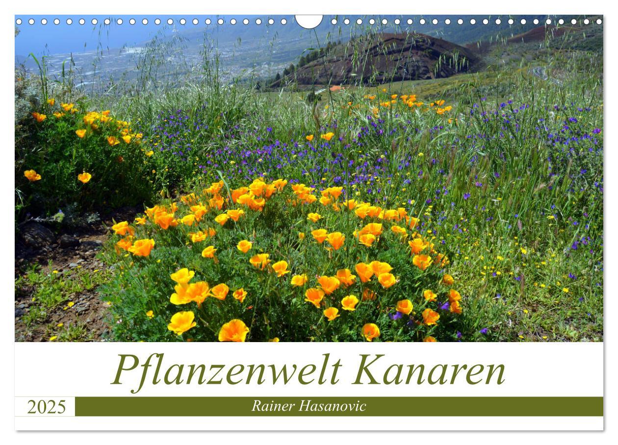 Cover: 9783435430642 | Pflanzenwelt Kanaren (Wandkalender 2025 DIN A3 quer), CALVENDO...