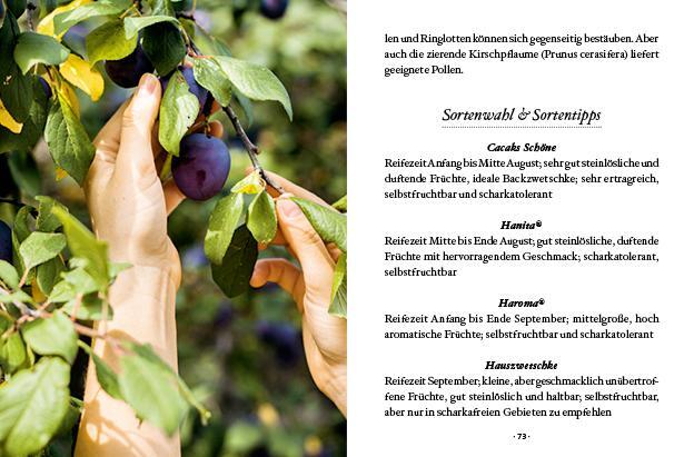 Bild: 9783710403071 | Das große kleine Buch: Obstbäume in unserem Garten | Elke Papouschek