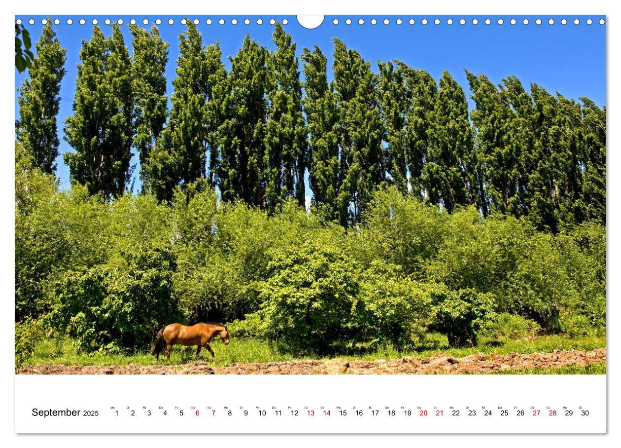 Bild: 9783435457991 | Faszinierendes Patagonien (Wandkalender 2025 DIN A3 quer), CALVENDO...