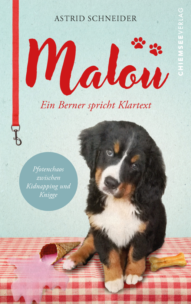 Cover: 9783988652416 | Malou - ein Berner spricht Klartext | Astrid Schneider | Taschenbuch