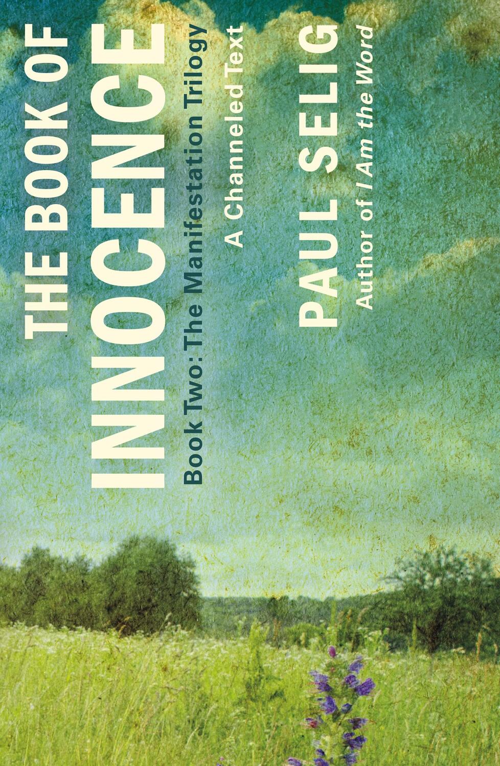 Cover: 9781250833792 | The Book of Innocence: A Channeled Text | Paul Selig | Taschenbuch