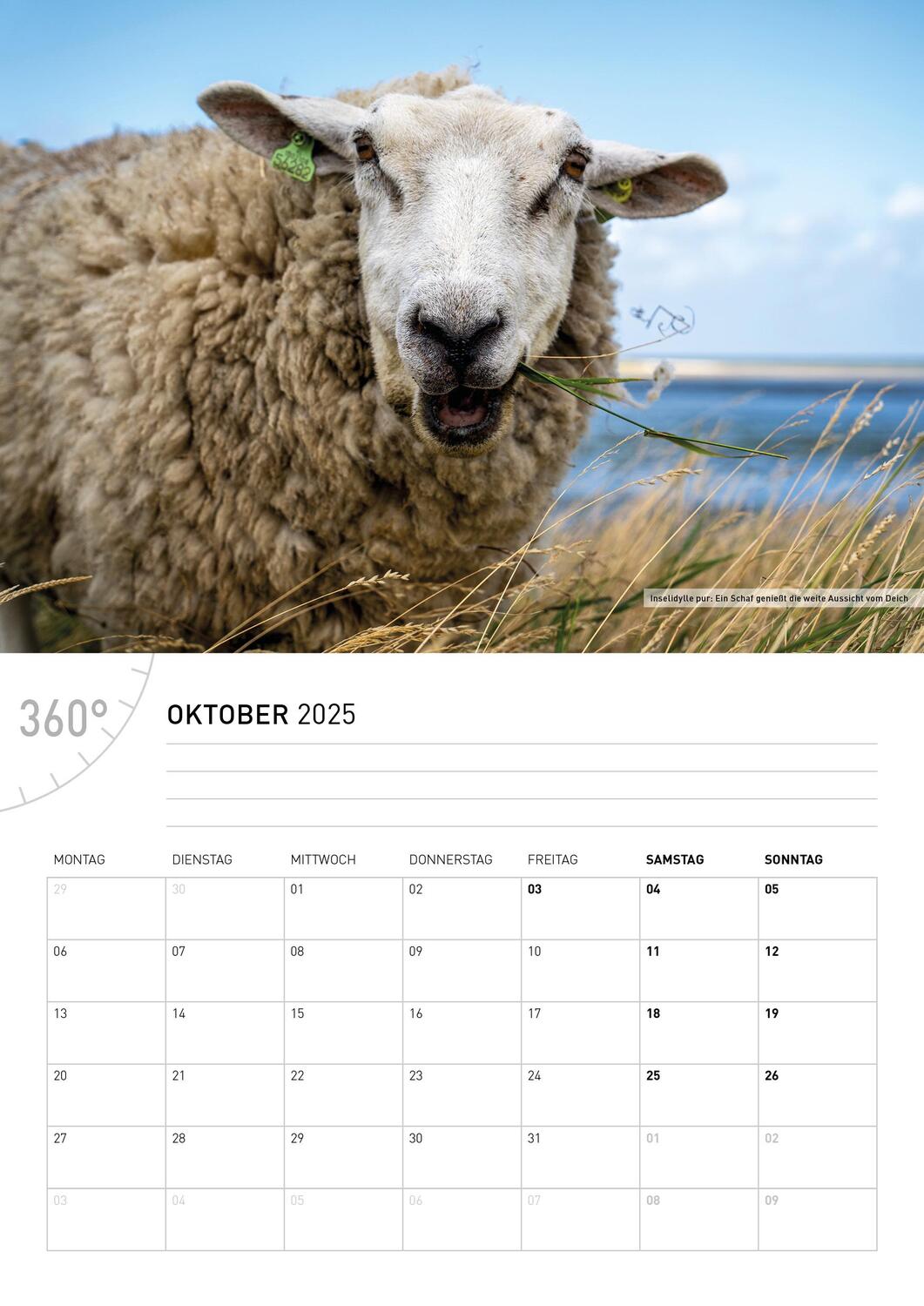 Bild: 9783968555775 | 360° Texel Broschürenkalender 2025 | Tanja Neumann | Kalender | 28 S.