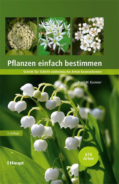 Cover: 9783258081915 | Pflanzen einfach bestimmen | Peter M. Kammer | Buch | Deutsch | 2021