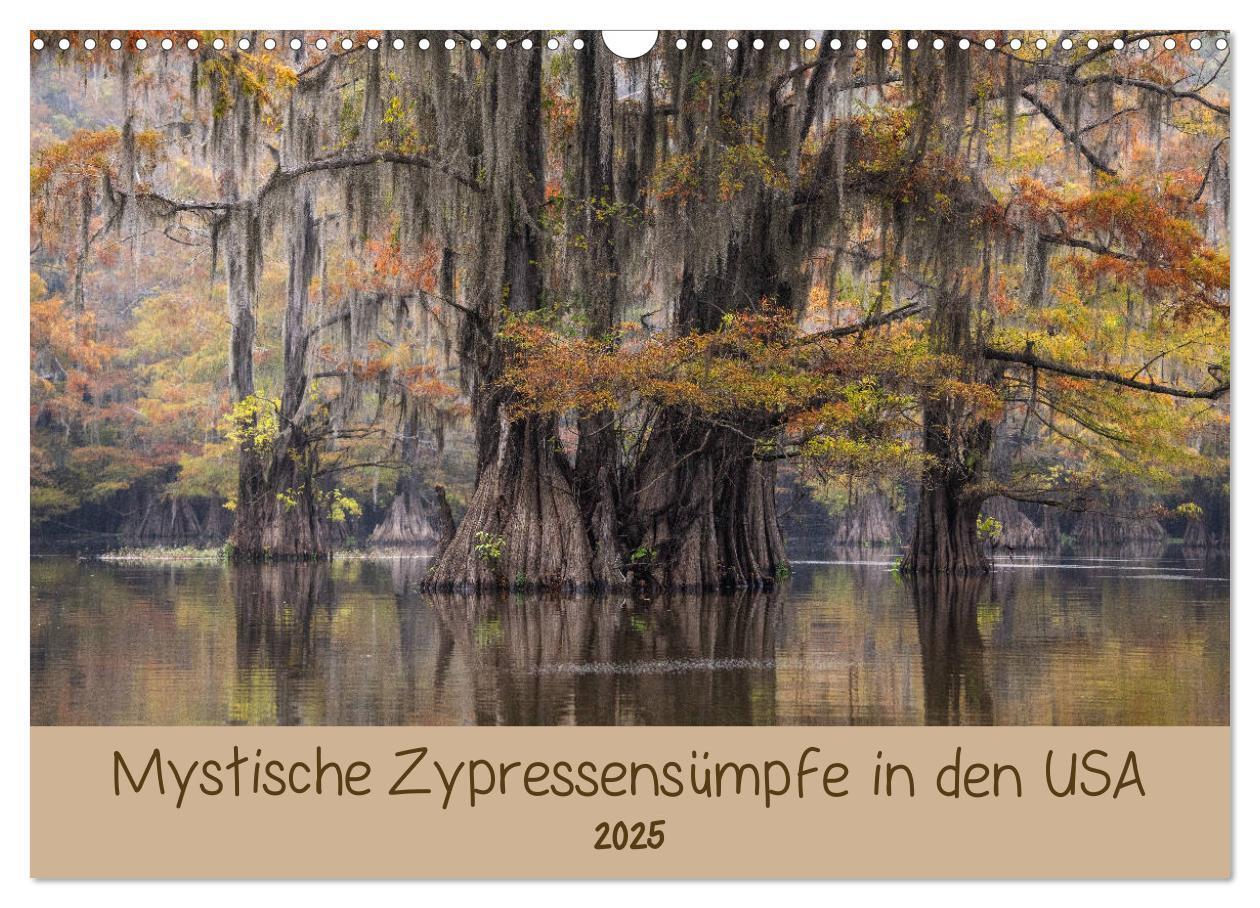 Cover: 9783435109548 | Mystische Zypressensümpfe (Wandkalender 2025 DIN A3 quer), CALVENDO...