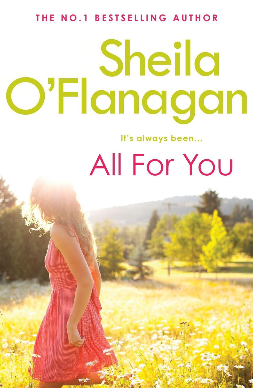 Cover: 9780755343874 | All For You | Sheila O'Flanagan | Taschenbuch | Englisch | 2012