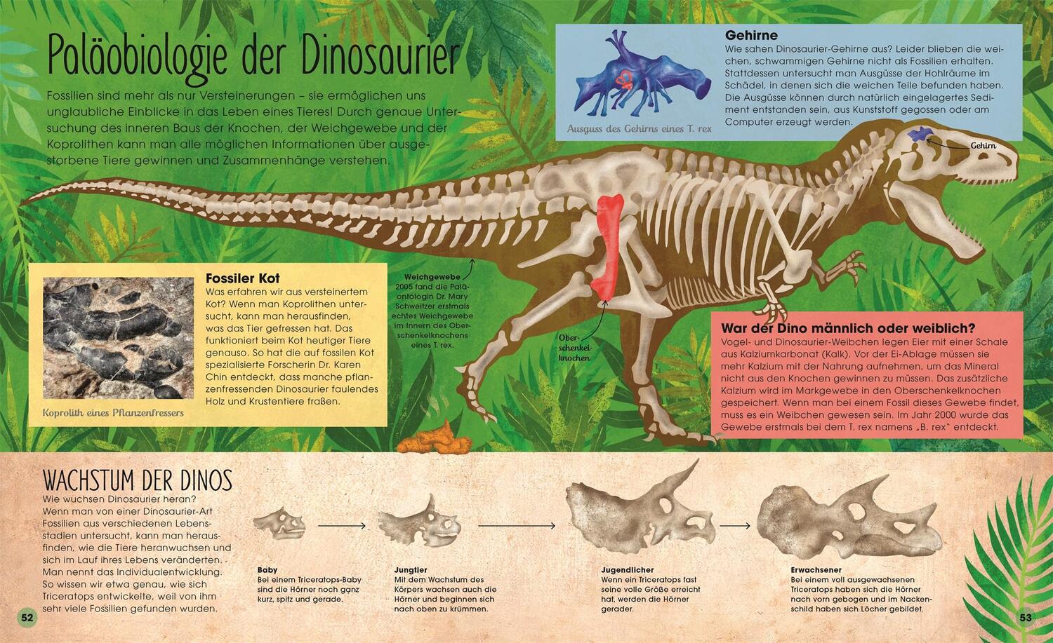 Bild: 9783831049455 | Urzeit | Ashley Hall | Buch | 80 S. | Deutsch | 2024