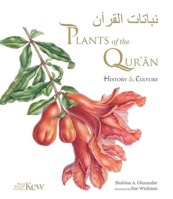 Cover: 9781842467176 | Plants of the Quran | History &amp; culture | Shahina A. Ghazanfar | Buch