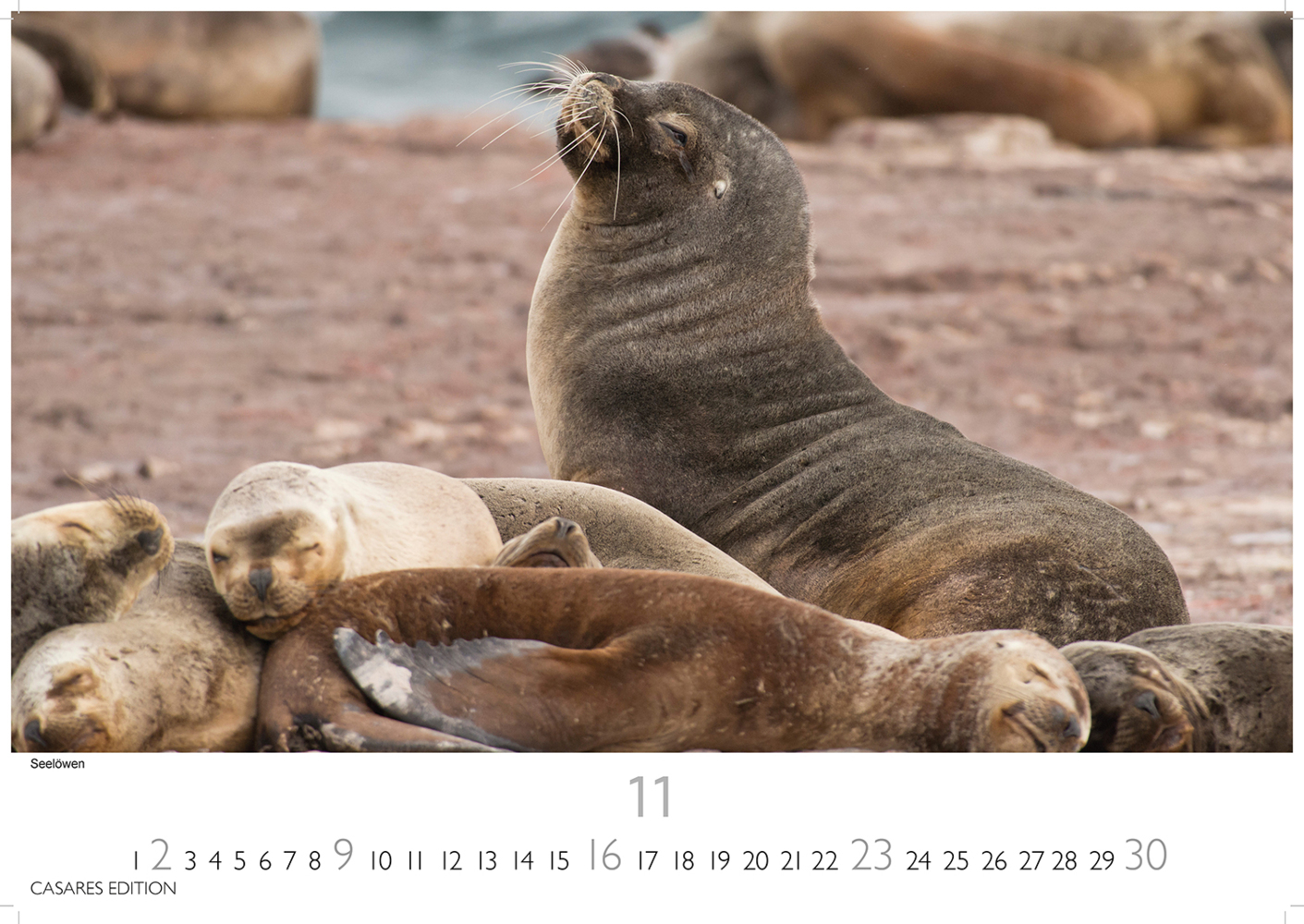 Bild: 9781835242506 | Patagonien 2025 L 35x50cm | Kalender | 14 S. | Deutsch | 2025