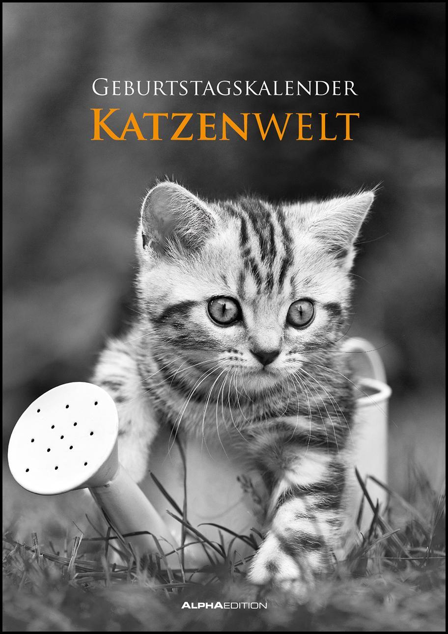 Cover: 9783840737169 | Geburtstagskalender Katzenwelt immerwährend | Kalender | Deutsch