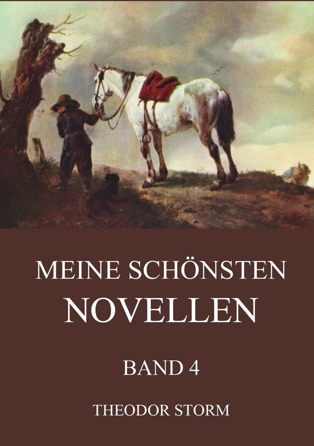 Cover: 9783849685805 | Meine schönsten Novellen, Band 4 | Theodor Storm | Taschenbuch