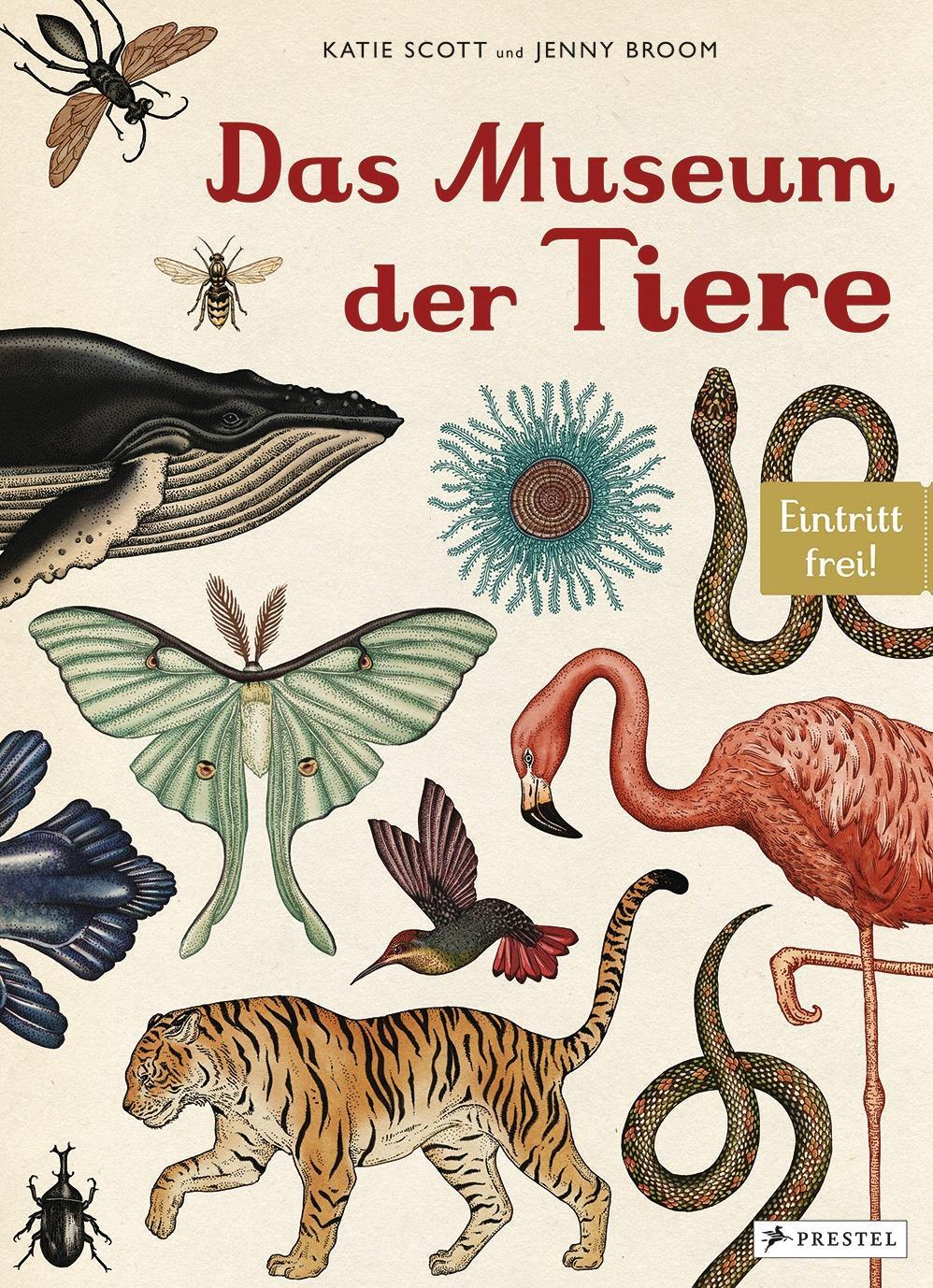 Cover: 9783791371771 | Das Museum der Tiere | Eintritt frei! | Jenny Broom | Buch | 108 S.