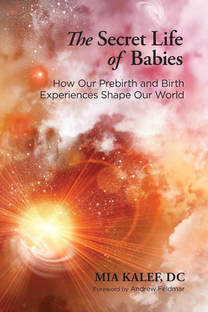 Cover: 9781583948033 | The Secret Life of Babies | Mia Kalef | Taschenbuch | Englisch | 2014
