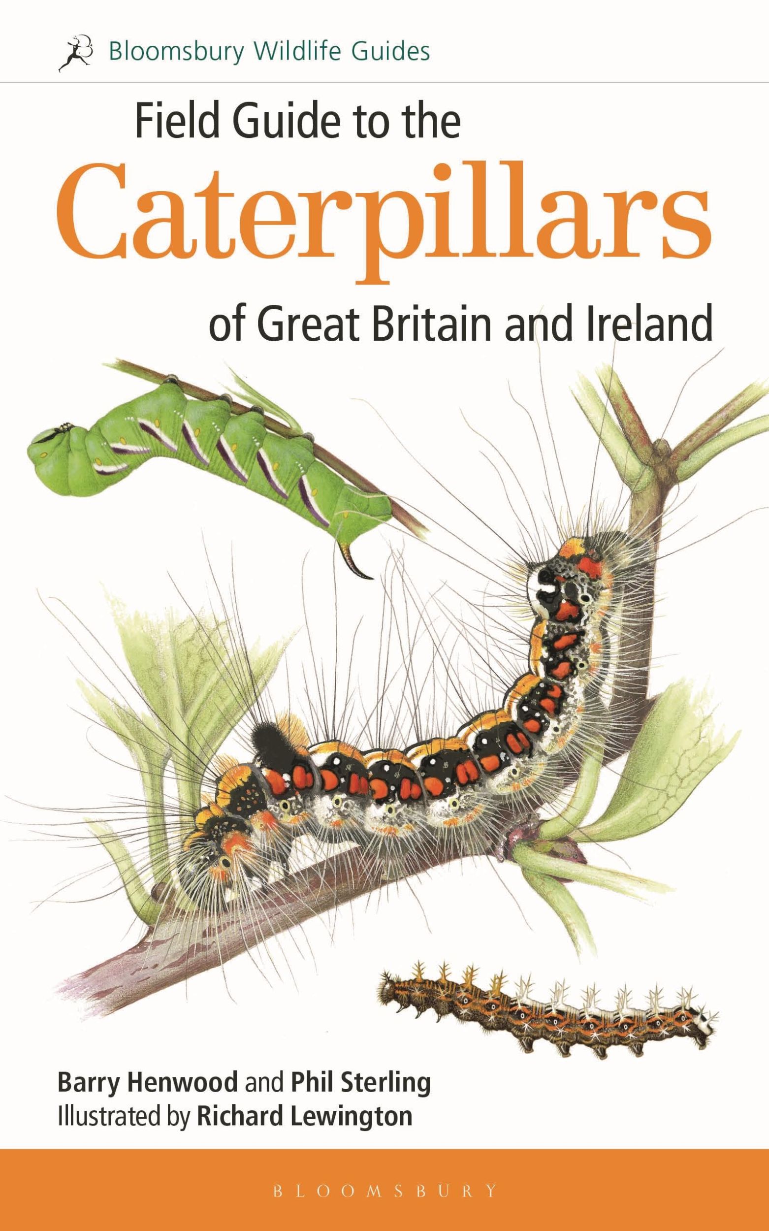 Cover: 9781472933560 | Field Guide to the Caterpillars of Great Britain and Ireland | Buch