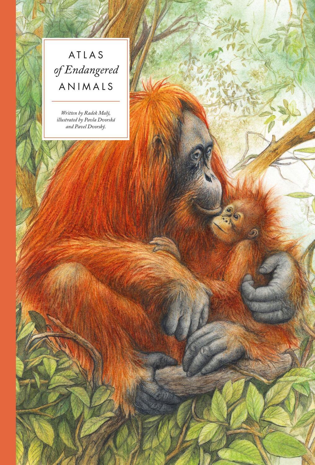 Cover: 9788000061276 | Atlas of Endangered Animals | Radek Maly | Buch | Large Encyclopedias