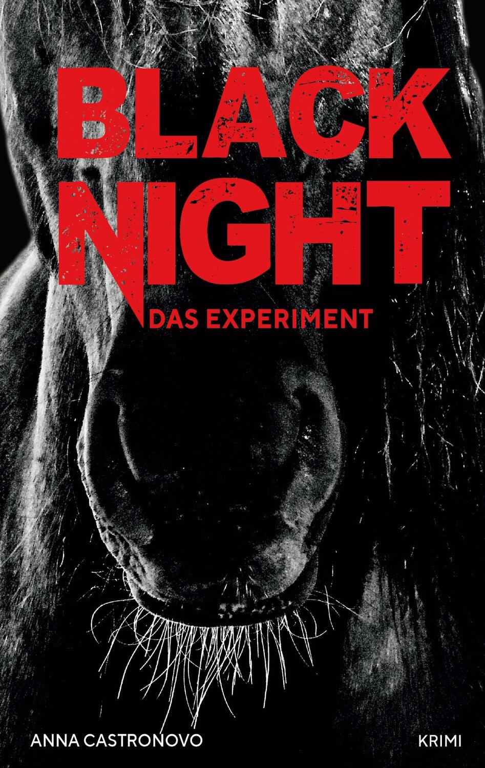 Cover: 9783738646856 | Black Night | Das Experiment | Anna Castronovo | Taschenbuch | 280 S.