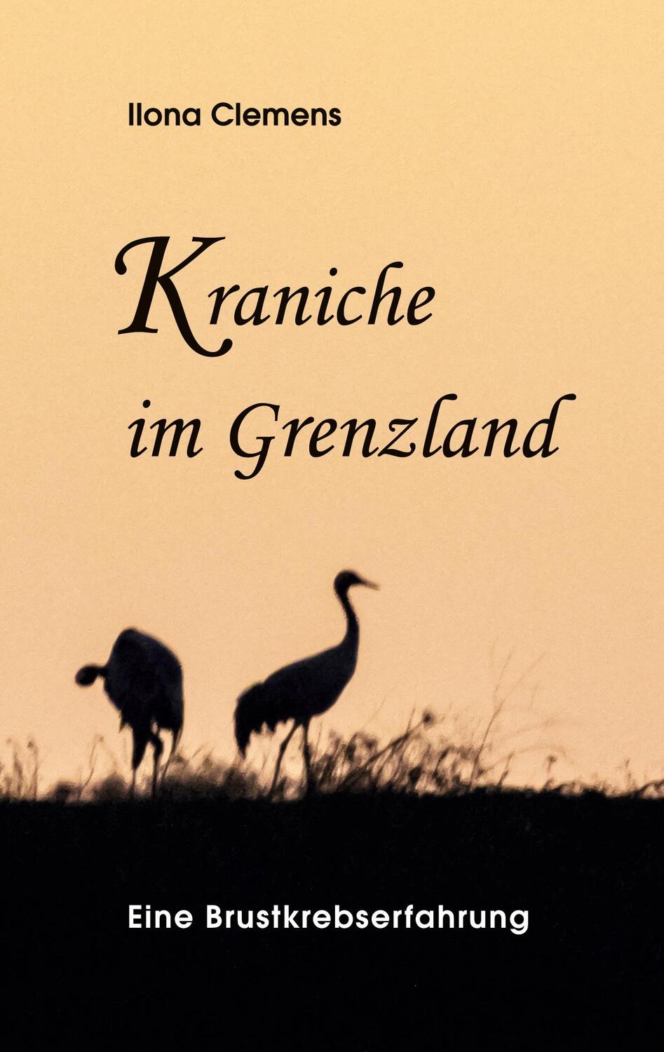 Cover: 9783347312760 | Kraniche im Grenzland | Eine Brustkrebserfahrung | Ilona Clemens