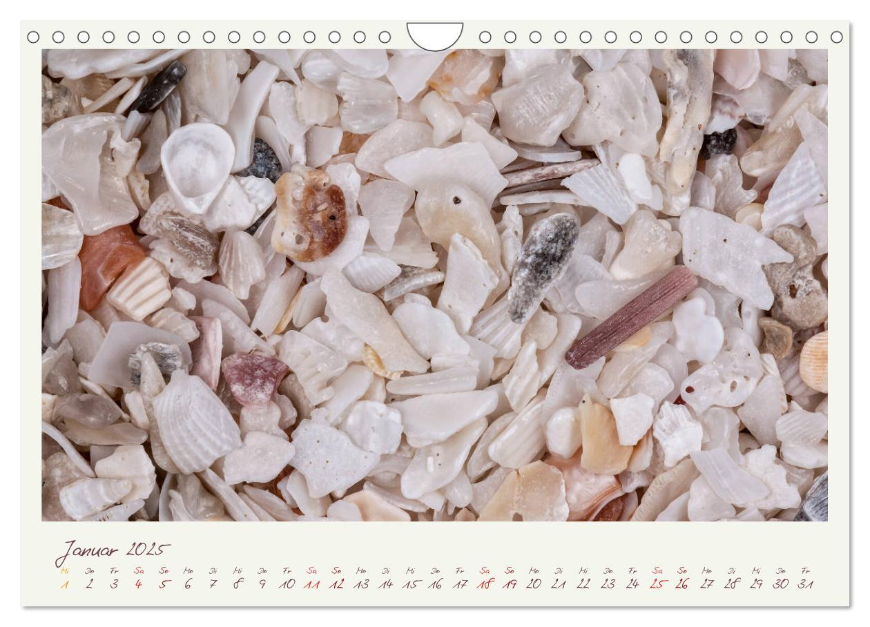 Bild: 9783435135479 | Abenteuer Mikrofotografie Sand (Wandkalender 2025 DIN A4 quer),...