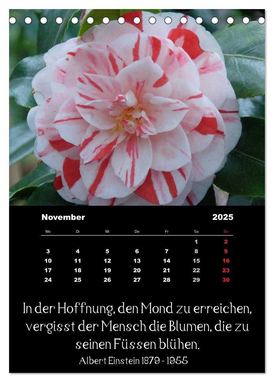 Bild: 9783457085660 | Sprüche und Zitate berühmter Personen über Blumen und Natur...