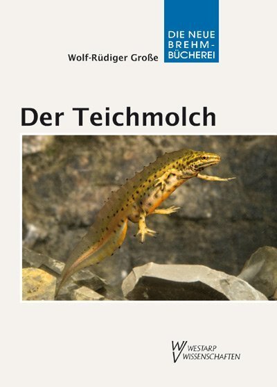 Cover: 9783894324766 | Der Teichmolch | Lissotriton vulgaris | Wolf-Rüdiger Große | Buch