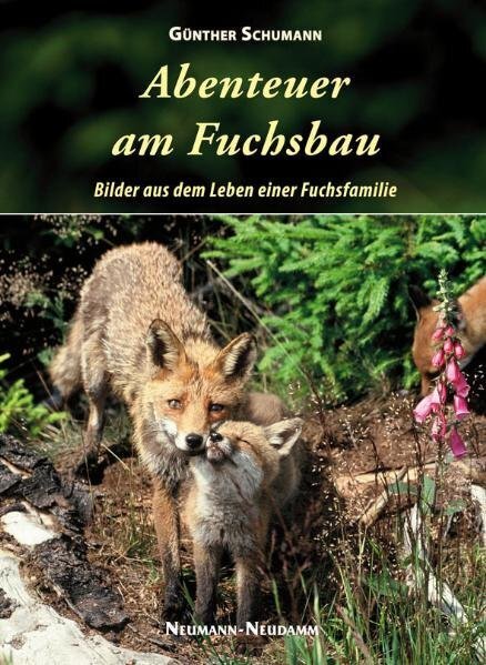 Cover: 9783788813246 | Abenteuer am Fuchsbau | Bilder aus dem Leben einer Fuchsfamilie | Buch