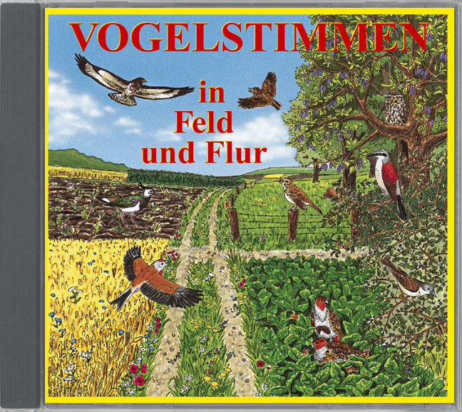 Cover: 9783935329125 | Vogelstimmen in Feld und Flur, 1 Audio-CD, 1 Audio-CD | Audio-CD