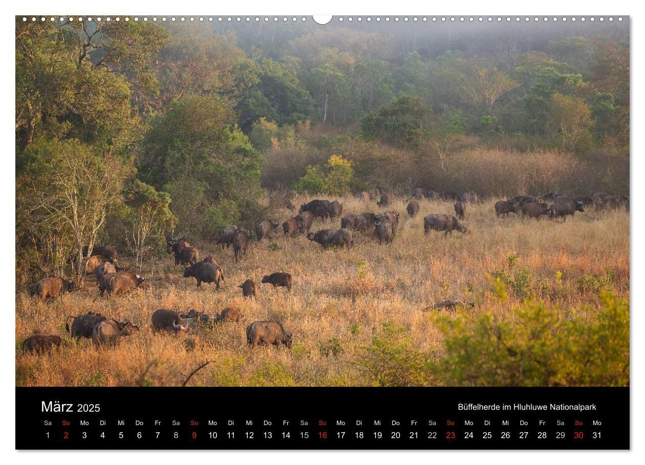 Bild: 9783435573103 | Wunderschönes Südafrika (Wandkalender 2025 DIN A2 quer), CALVENDO...