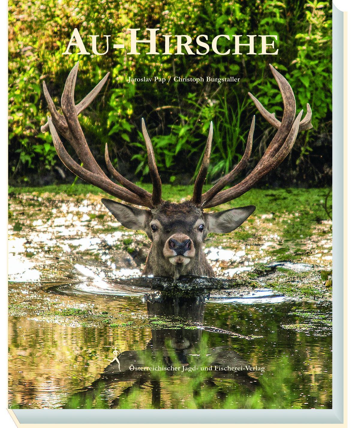 Cover: 9783852081533 | Au-Hirsche | Jaroslav Pap (u. a.) | Buch | 144 S. | Deutsch | 2017