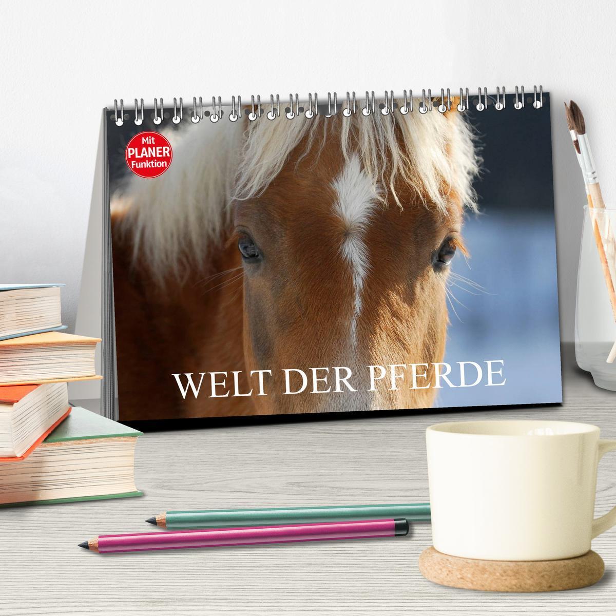 Bild: 9783435543731 | Welt der Pferde (Tischkalender 2025 DIN A5 quer), CALVENDO...