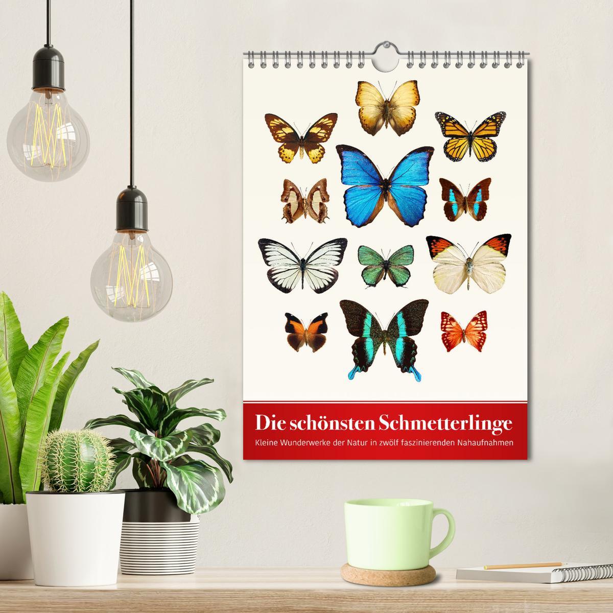 Bild: 9783457021835 | Die schönsten Schmetterlinge (Wandkalender 2025 DIN A4 hoch),...