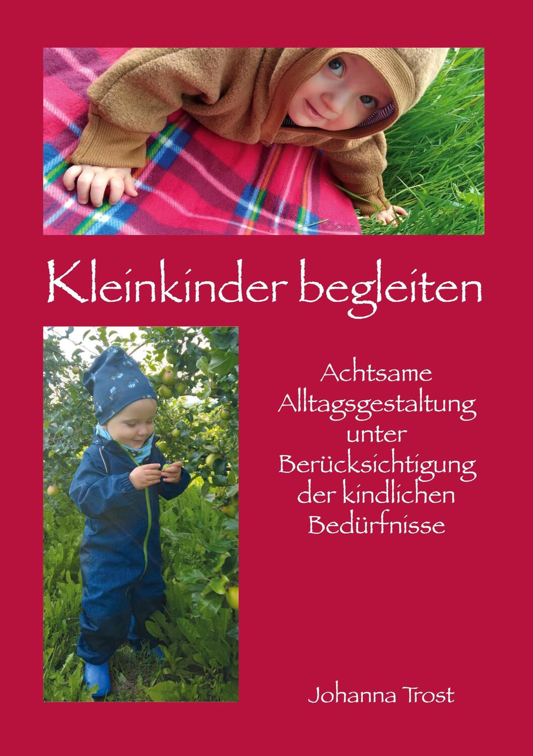 Cover: 9783756837878 | Kleinkinder begleiten | Johanna Trost | Taschenbuch | Paperback | 2022