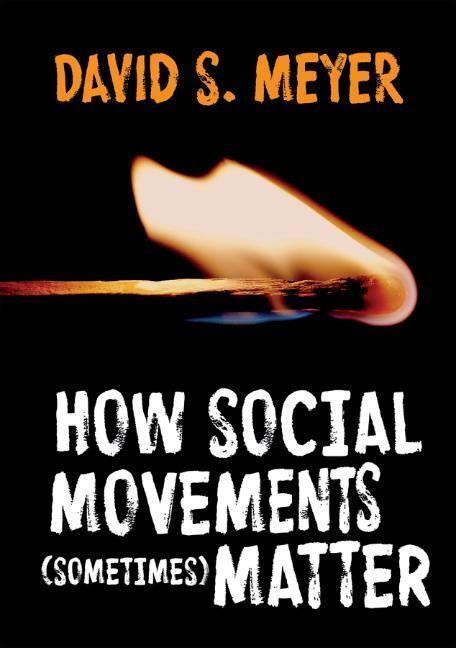 Cover: 9780745696850 | How Social Movements (Sometimes) Matter | David S Meyer | Taschenbuch