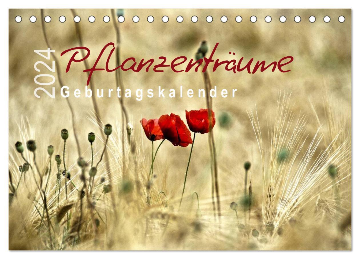 Cover: 9783383627040 | Pflanzenträume / Geburtstagskalender (Tischkalender 2024 DIN A5...