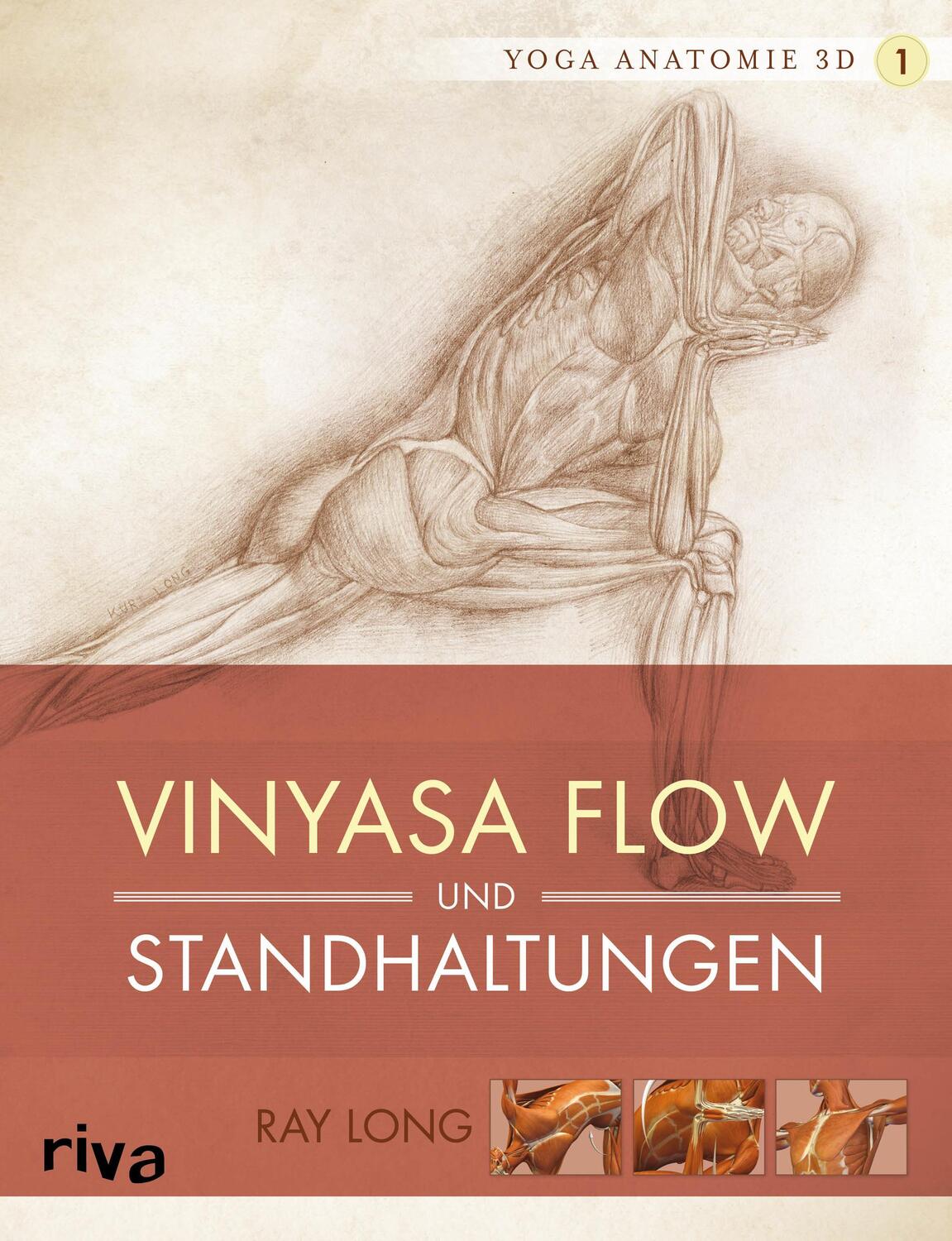 Cover: 9783868834697 | Yoga-Anatomie 3D. Vinyasa Flow und Standhaltungen | Ray Long | Buch