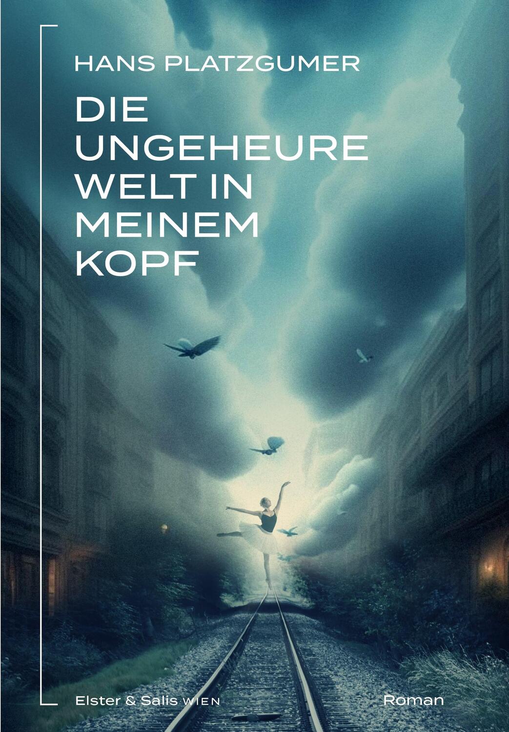 Cover: 9783950543520 | Die ungeheure Welt in meinem Kopf | Hans Platzgumer | Buch | 180 S.