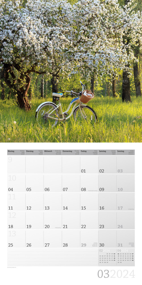 Bild: 9783838444161 | Landleben Kalender 2024 - 30x30 | Ackermann Kunstverlag | Kalender
