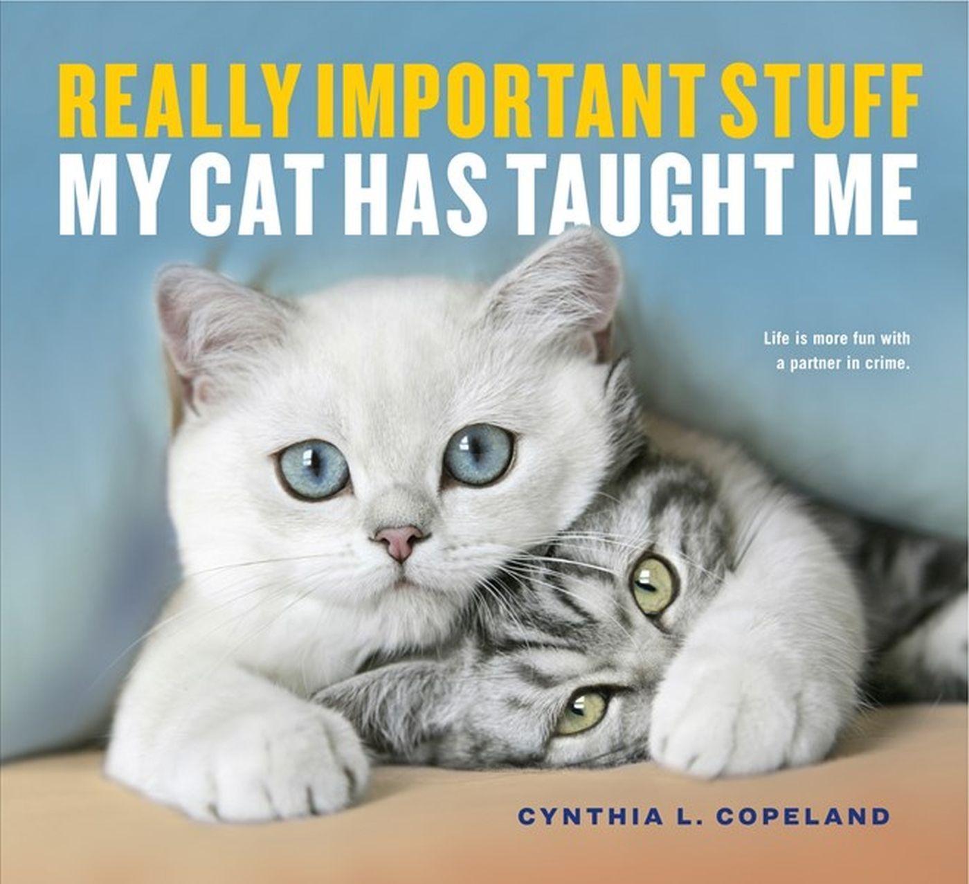 Cover: 9781523501489 | Really Important Stuff My Cat Has Taught Me | Cynthia L. Copeland