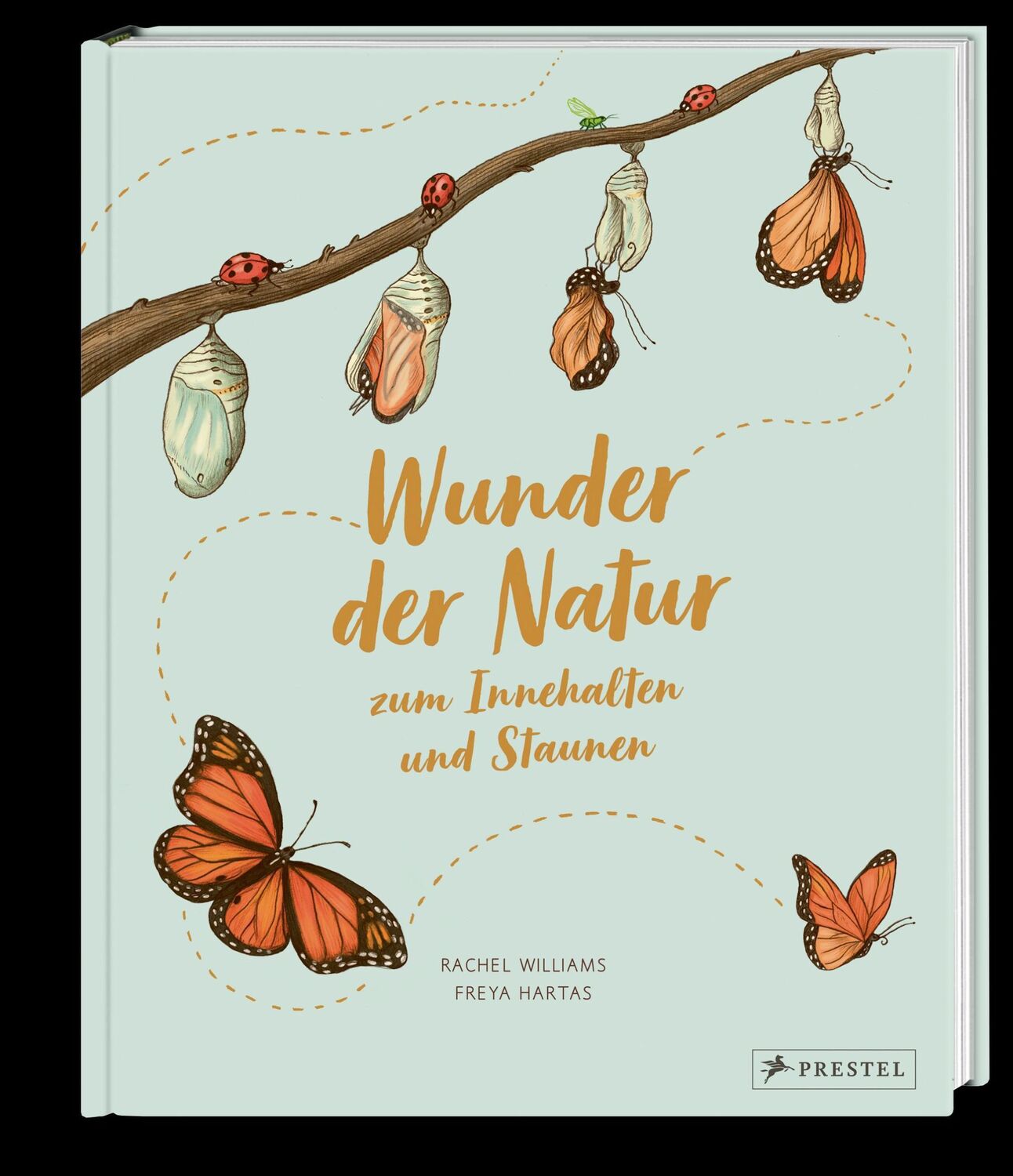 Bild: 9783791374475 | Wunder der Natur zum Innehalten und Staunen | Rachel Williams (u. a.)