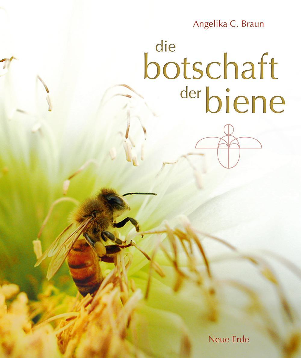 Cover: 9783890607177 | Die Botschaft der Biene | Angelika C. Braun | Buch | 312 S. | Deutsch
