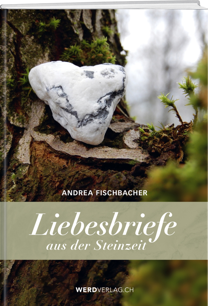 Cover: 9783039221103 | Liebesbriefe aus der Steinzeit | Andrea Fischbacher | Taschenbuch