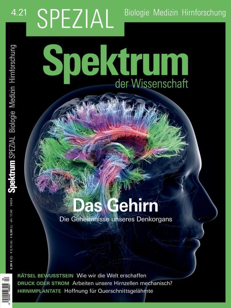 Cover: 9783958925182 | Spektrum Spezial - Das Gehirn | Die Geheimnisse unseres Denkorgans