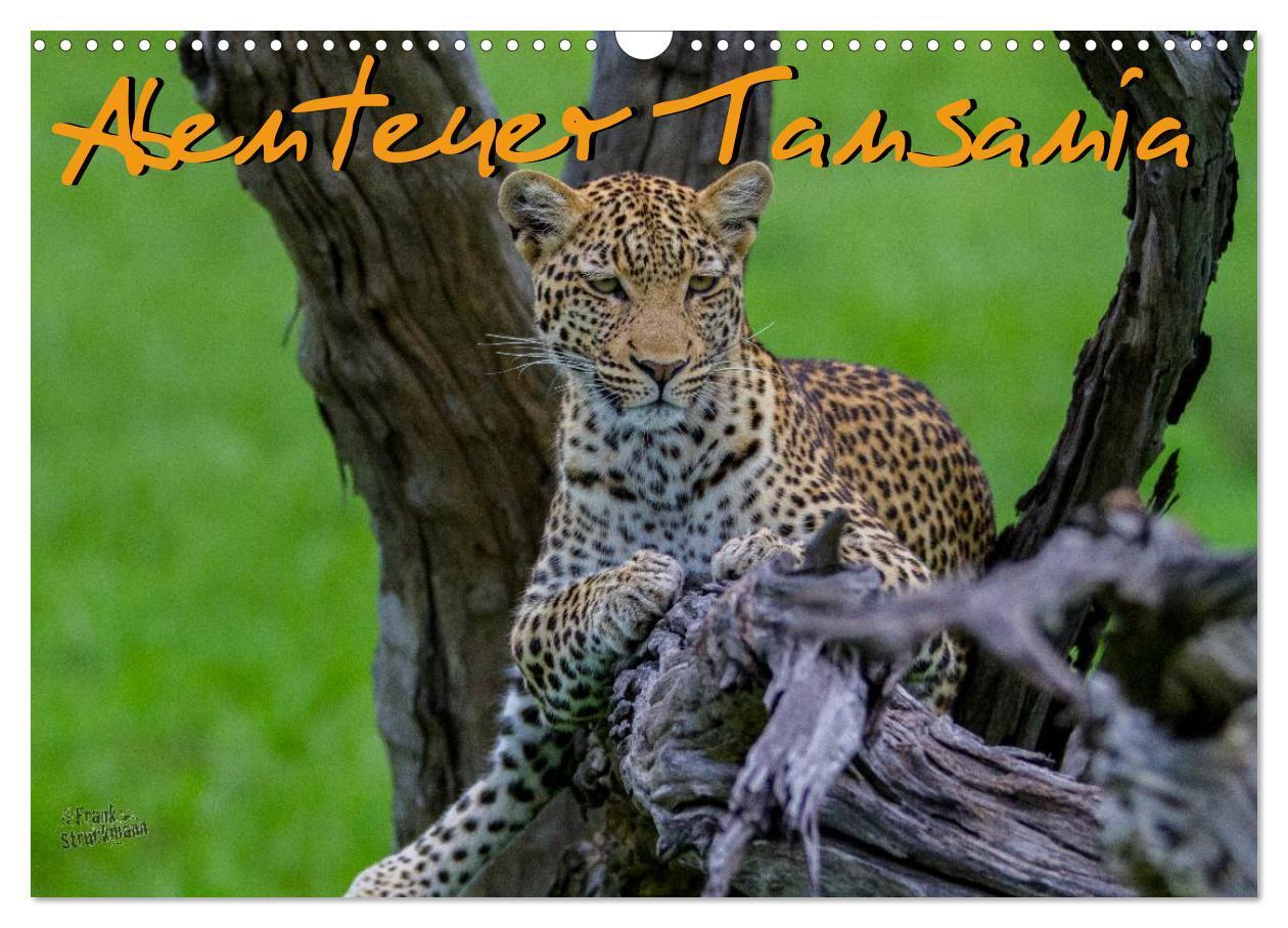 Cover: 9783383601033 | Abenteuer Tansania, Afrika (Wandkalender 2024 DIN A3 quer),...
