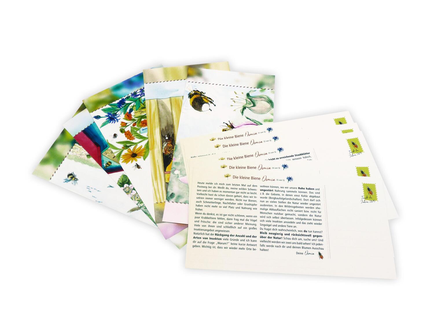 Bild: 9783961311156 | Die kleine Biene Osmia | Postkartengeschichten | Nicole Pustelny
