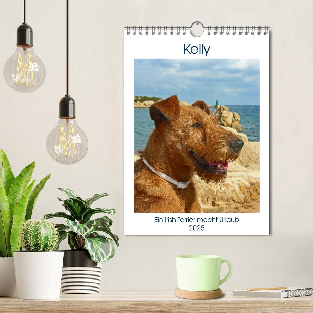 Bild: 9783435951222 | Kelly - Ein Irish Terrier macht Urlaub (Wandkalender 2025 DIN A4...